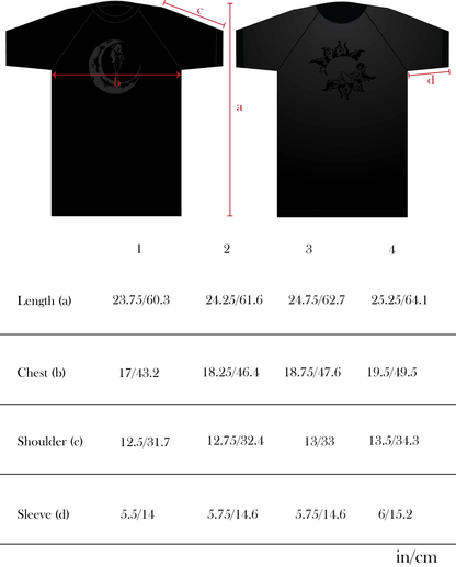 Defect Soleil Raglan Ringer